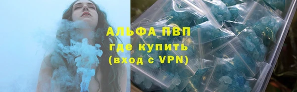ешки Новодвинск