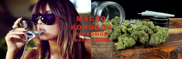 дмт Новокубанск